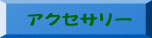 アクセサリー